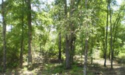 13.25 acres located in Burke County. Located off of Quaker Road. Natural Spring included on the property. Pines and Oaks. 11 miles from the Walmart in Waynesboro, GA. 2 miles from the Old Boggs Academy. The opportunities for this plot are limitless. The