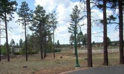 Beautiful one acre cul-de-sac lot in a gated homes only subdivision! Diane Dahlin has this 4 bedrooms property available at 2237 Bear Claw Dr in OVERGAARD, AZ for $46900.00. Please call (928) 535-3656 to arrange a viewing.Listing originally posted at http