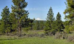 FOR SALE by OWNERin beautyful Goldendale, WA
at a new lower price!
5.58 slightly sloping 5 acres on paved county road
for details go here (Link to http
