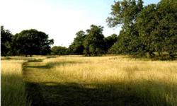Priced to sell! This 50 acres offers a idyllic park like setting.
Listing originally posted at http