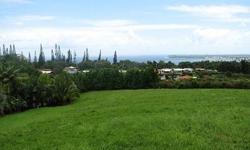 Lush and tropical oasis overlooking Hilo Bay. This five acre Botanical Garden is located on a hilltop with panoramic ocean views. Several building pads reserved for your private residence construction. Property has extensive landscaping including mature
