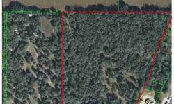 Fanatstic Opportunity For Subdivision. Plotted For 22 Homesites By Prior Owner, and Perfect For The Local Builder Or Savy Investor! Properties Like This Don't Come Often. Actual Location Is Just South Of Masaryktown. Wonderful Growing Area and A Super