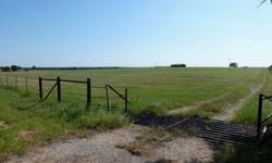 Your generous slice of Country Heaven (yes, with agricultural exemption!) is expecting you... nearly 68 acres of rich pasture land conveniently located just outside of Caldwell under the Big Texas Sky! Cross over the cattle guard to a haven of peaceful,