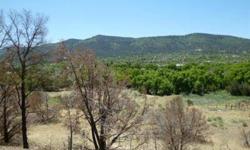 40 Acres in Ruidoso Downs. Rio Ruidoso runs through the SE portion of the property and is bordered on two sides by National Forest. Approximately 6-8 Acres are flat by the river, the rest of the property is sloping with flat areas atop ridges. AR-1