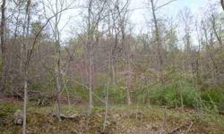Owners are ready to sell this wooded tract with several nice building sites nestled at the back of Edgewood a beautiful neighborhood.They have recently surveyed this larger tract into thre parcels. Map available online!All city utilities are in the
