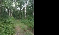 10 wooded acres with driveway and small lot cleared. About 1/2 mile off Hwy 71.Listing originally posted at http