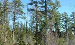 Beautiful hunting and recreational 40 with good access and great wildlife. Deer, Moose, & Bear thrive on this parcel that is surronded on two sides by 1000's of acres of state and corporate lands for your enjoyment.
Listing originally posted at http