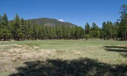 This Lockett Ranches 6.002 acre parcel (zoned 3.0 acre minimum) provides panoramic views of the Mt. Elden and Dry Lake Hills. This level property has multitudes of locations to build your dream amongst old growth Ponderosa Pines and pocket meadows. This