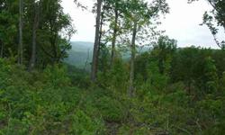Breathtaking views! You can own this rare view of Shiloh Valley! Perfect cul-de-sac location to build your own private and peaceful retreat. All utilities available. Lightly restricted. Developer and Property Manager lives on site in Bear Knob