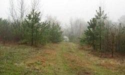 10.78 wooded Acres with a pond,a well and several septic tanks.A great place to build a home.Lots of trees on the property.A great hunter's get-a- way!for more info. call 706-384-2038 or Serious Inquires Only! Just Reduced The Price! $48,000