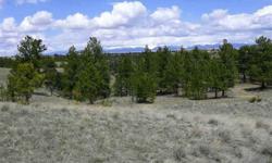 Beautiful secluded 40 acres with trees in a great recreation area near deadman's basin reservoir.