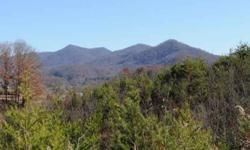 -PRIVATE ESTATE OR POSSIBLE DEVELOPMENT. VIEW OF COLD MOUNTAIN, MT PISGAH & BETHEL VALLEY. MINUTES FROM WAYNESVILLE OR CANTON. CAN ACCESS FROM CATHEY COVE ROAD OR EDGEWOOD ROAD, NEAR BETHEL ELEMENTARY & MIDDLE SCHOOL. OWNER FINANCING AVAILABLE. ADJOINING