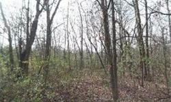Here is a wonderful, wooded acre Biltmore ravine property that slopes down to a creek in the back of the lot! A private, natural setting with views of nature at is best all year around!
Bedrooms: 0
Full Bathrooms: 0
Half Bathrooms: 0
Lot Size: 0 acres