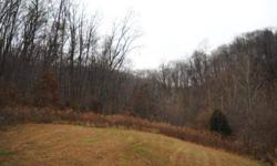 118 acres of timber w/stocked pond, 35x55' Morton building w/cement, electricity, & water & septic stubbed in. 2 bdr. mobile home, septic-5 years old, well-1995, surrounded by tillable & sandy creek. Great hunting & beautiful building sites.
Listing
