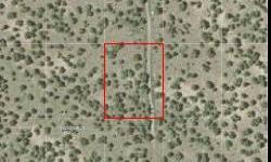 No document charges, free deed recording includes in the price
1 acres lot 569 kaibab high five, in coconino county az, apn# 500--07-089
property address