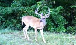 An absolutely beautiful 128 acre paradise located in Western Kentucky. Trophy bucks and turkey are abundant on this farm. Two record bucks were recently harvested on this property. This very scenic farm has a fishing lake stocked with bass, bluegill and
