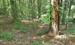 -Great value on this bank owned lot. Build your dream home in Cane Creek Valley on this private almost 3 acre tract of land. Multiple building sites on this gently wooded sloping lot. Beautiful views with western exposure. Easy access on dirt road.