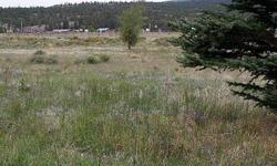 PRICE REDUCED! Great building site on corner lot in South Fork, CO. Close to snow skiing at Wolf Creek, 18 holes of golf at the Rio Grande Club, and millions of acres of the Rio Grande National Forest to explore! Come to South Fork, Colorado for "Four