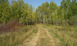 40 Ac of prime building or hunting land. Just minutes from 1,000's of acres of hunting land. Property has been reduced to $49,000.Listing originally posted at http
