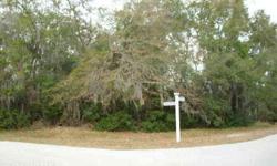 CLOSE TO 3/4 OF AN ACRE TO BUILD YOUR DREAM HOME. LARGE CANOPY OF OAKS TO SHADE AND COMFORT YOU. ESTABLISHED SUB-DIV. AWAITS YOUR FAMILY. LETS BUILD TODAY!!Listing originally posted at http
