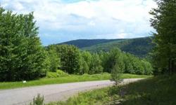 5.40 ACRES SKI COUNTRY NEW YORK! GREEK PEAK MOUNTAIN RESORT! ----- 5.40 acre Log Home building site. With views of the surrounding mountains, build your dream solid log or log sided conventional home on this beautiful parcel in the heart of Greek Peak