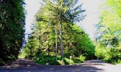 5 wooded acres with possible timer grade firs
Listing originally posted at http