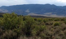 20 acres at the foot of the beartooth mountains, with a well and power, plus it is bordering blm land to the west so no 1 can build and block your view.