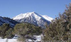 Beautiful views in Maysville. Picture perfect Colorado dream lot with easy access to Highway 50 on county maintained road. Close to skiing and abundant recreation opportunities.