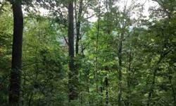 Beautiful lot with views of surrounding Buckeye Cove. Large building site. 15 minutes to Asheville/15 minutes to Black Mountain. Nature lovers dream. (For site built and modular homes)Listing originally posted at http
