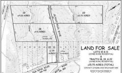 Up for sale are 2 road frontage lots and 3 acreage tracts located in Ridgeway, VA. Property is located on State Route 782 (Old Sand Road), approximately 5 miles south of the Martinsville Speedway. U.S. 220 at Sheetz, turn onto Mica Road, take first left,