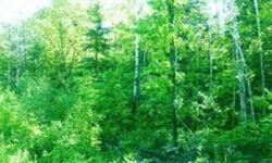 20 heavily wooded acres just north of Bemidji. Mostly high ground. Borders the Buena Vista State Forest. Excellent hunting! Many great fishing lakes within minutes. Nice building sites. Fish, hunt, snowmobile, 4 wheel, or just relax. Perfect 20 acres!!!