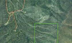 MOTIVATED LENDER! Lender Owned 40 acre property sitting on the western slope of the Empire Mountains in a secluded and picturesque box canyon. City light views are to the northwest. Buyer to verify legal and physical access to the property. Buyer to