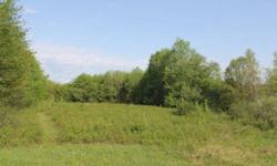 NY COUNTRY ACREAGE FOR SALE in SALMON RIVER COUNTRY ----- Perfect 4 season acreage with year around access and utilities available. Minutes from Salmon River and Redfield Reservoir. Northern Zone hunting with 6 week rifle season and ideal to build your