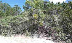 5 acre tract just minutes from the City of Burnet off CR 200...it's a blank canvas ready for your dream home.Listing originally posted at http