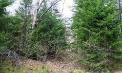 Desirable location for a home or camp in the North Country! Lot is located on a town maintained road, electricity is at the street, has snowmobile trail access with landowner permission, & is priced at assessed value. Very close to First Lake and all