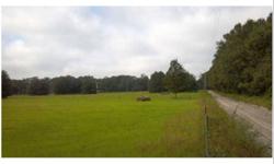 10 acres within minutes of South Entrance to Ichetucknee Springs State Park for your new homesite. Exact boundaries to be determined by survey. Also available 20 acres - MLS 82130 and approx.Listing originally posted at http