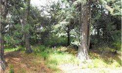Build your own mountain dream home! Excellent location, exceptional value and extraordinary neighborhood!!
Listing originally posted at http