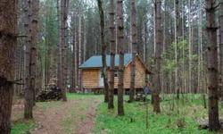 This fully finished 16 x 20? cabin is located on 5.7 wooded acres on a quiet, country road in Amboy, New York. The tall, red pines on the lot create a picture perfect setting. The cabin features a great room, loft and bathroom area and is located in an
