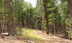 Great wooded lot in the gated covenanted community of Woodrock, just 20 minutes from Woodland Park, and 45 minutes from Colorado Springs. Already has a driveway in, and includes a lower production well, although, has not ever been in use. Views of rock