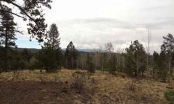 Beautiful lot with outstanding views of Pikes Peak; nicely treed yet has open meadow and great building sites; power is close.
Listing originally posted at http
