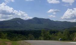 Best Views in Lake Lure Lot 16 Easy St Lake Lure, NC 28746 USA Price