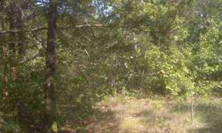 Great hunting spot or build your dream house on the well located 40 acres m/l. Pond and seasonal marsh, with a turkey blind already to use. Close to shopping, schools and restaurants. Private but not secluded. Offered at only $49,900. Call Rhonda