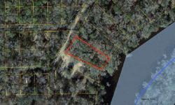 River front property on the Suwannee River. Owner says this is a buildable lot, not sure just yet? But what a great weekend getta-way. Owner will finance with 20% down @5% int or 30% down @ 4% int lets talk.Listing originally posted at http