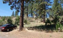 Nice 1.75 acre building lot is just 5 minutes to Lincoln public boat launch on gorgeous Lake Roosevelt. There is a nice flat area on top to build your dream home. From the top you will enjoy lovely mountain views. The property has a nice driveway and lots