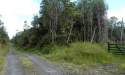 Get a head start on building! This is a great opportunity to get two three-acre parcels with improvements.