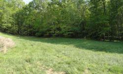 --Beautiful, gentle grade lot with great mountain views in quiet Mills River Community. 1800 sq.ft. minimum home size deed restriction. Only 18 large lots available. Pond view. All roads are paved and lots are clearly marked. Out in the country feeling,