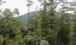 Unbelievable USFS view from this 3.01+/- acre unrestricted tract only 8 miles to downtown Murphy. Very Private, secluded, tract with Year round 180-degree mountain views or more, Hardwoods all over this lot, own most of the trees to open up for larger