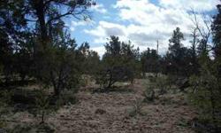 This heavily treed acre home site is ready for your cabin with power, water and phone to lot line.
Listing originally posted at http