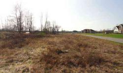 The premo lot to build your dream home. Where can you get 675 feet of frontage? Plenty of room to spread it all around. Be at the entry to one of Parma's high end subdivisions.
Listing originally posted at http