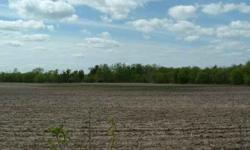 Six 10 acre lots to choose from. Tillable land in front with trees in the back. Great place to build you new home! Perc tests and soil borings already done. Come look and see which lot works best for you!
Listing originally posted at http